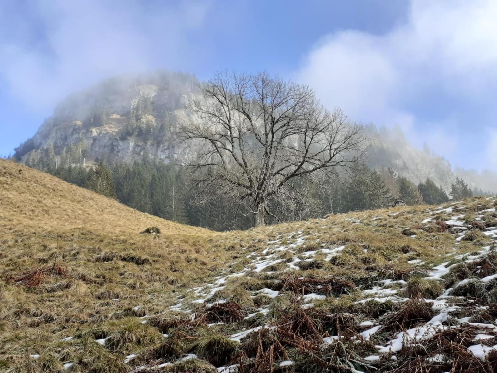 Berggasthof Sonne Allgaeu Sonthofen Exteriör bild